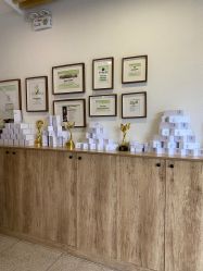 点击看大图 -薇薇安花系SPA