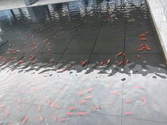 -南太湖山庄·四季轩&国风堂中餐厅