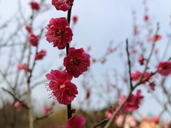 -白马涧龙池景区