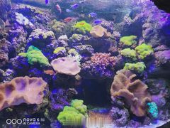 -郑州海洋馆