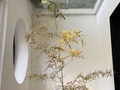 -古耳咖啡(北锣店)