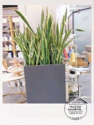 -FUTURE HN男士发型风格设计