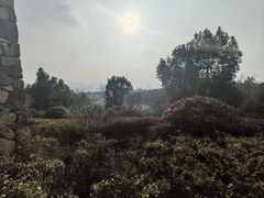 -浙江安吉JW万豪酒店
