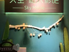 -sky天空私人影吧(师大花园店)