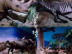-深圳博物馆