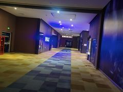 -幸福蓝海国际影城(芜湖IMAX店)