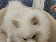 -怪兽屋·羊驼·猫咖·狗咖(俊华广场店)