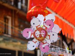 -越秀西湖花市(广州城市广场花卉店)
