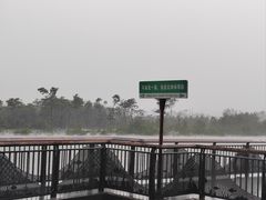 -东寨港红树林旅游区