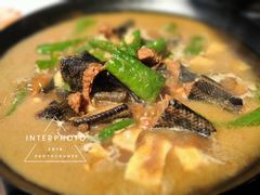-不炭白烧烤(成都首店)
