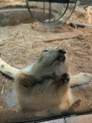 -Zoolung Zoolung动物主题公园(海信广场店)