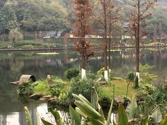 -重庆彩云湖湿地公园