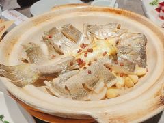 -1937青岛老味道·海肠捞饭·青岛菜(大鲍岛栈桥店)