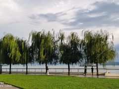 -滇池海埂公园