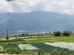 -大理无舍度假酒店