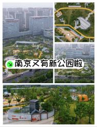 -南京市妇幼保健院(丁家庄院区)