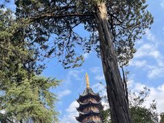 -灵岩山风景区