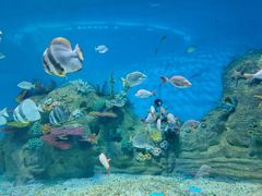 -泉城欧乐堡海洋极地世界