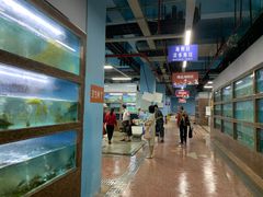 -渔人湾码头海鲜市场负二楼
