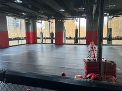 -极斗-IKMF马伽术·格斗运动学院(东直门店)