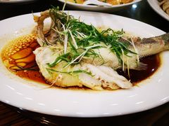 -老乡村美食农庄