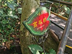 -呀诺达热带雨林