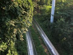 -富斯特索道