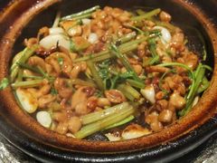 -煲煲好(朝阳门店)