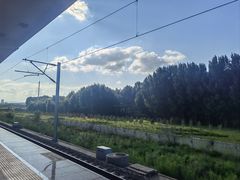 -妞妞家(银通店)