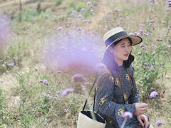 -黄色小屋