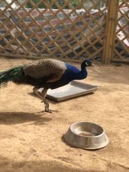 -萌宠亲子动物乐园(槐房万达店)