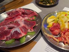 -杨小佳·齐齐哈尔烤肉·烤串(广州店)