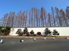 -杭州雅谷泉山庄酒店-餐厅
