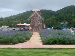 -玫瑰海岸文化旅游度假区