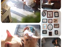 -柯斗斗主题餐厅·狗咖·围炉煮茶·茶饮(国瑞升平里店)