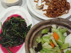 -眉州东坡(团结湖店)