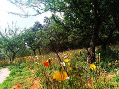 -名花谷生态庄园