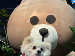 -望恋·天台音乐餐厅