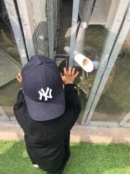 -萌宠亲子动物乐园(槐房万达店)