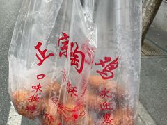 -陶记正宗德州扒鸡(科巷店)