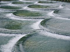 -明仕田园