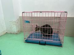 -瑞派宠物医院(搏威敦和院)