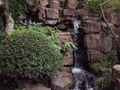 -秋霞圃