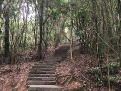 -武夷山风景名胜区-虎啸岩