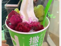 -Salud撒露欧洲冻酸奶(北苑上品店)