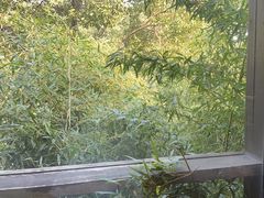 -荷风细雨·中国茶宴(碧云店)