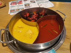-青瓷火锅料理(西单大悦城店)