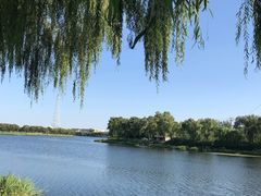 -亲兄弟真人CS团建拓展基地