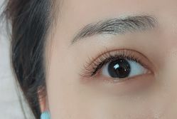 -丽尔美睫