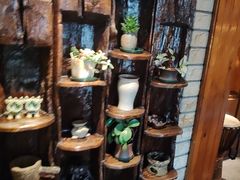 -慢丽江·云南野生菌土鸡锅(付家庄店)
